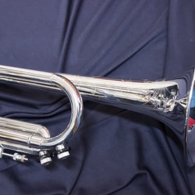 Trompeta Apolo Trumpet «Latino» Plateada image 11