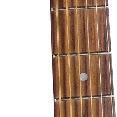 Regal Resonator Acoustic Guitar Triolian Antiqued Nickel-Plated Steel Body image 3