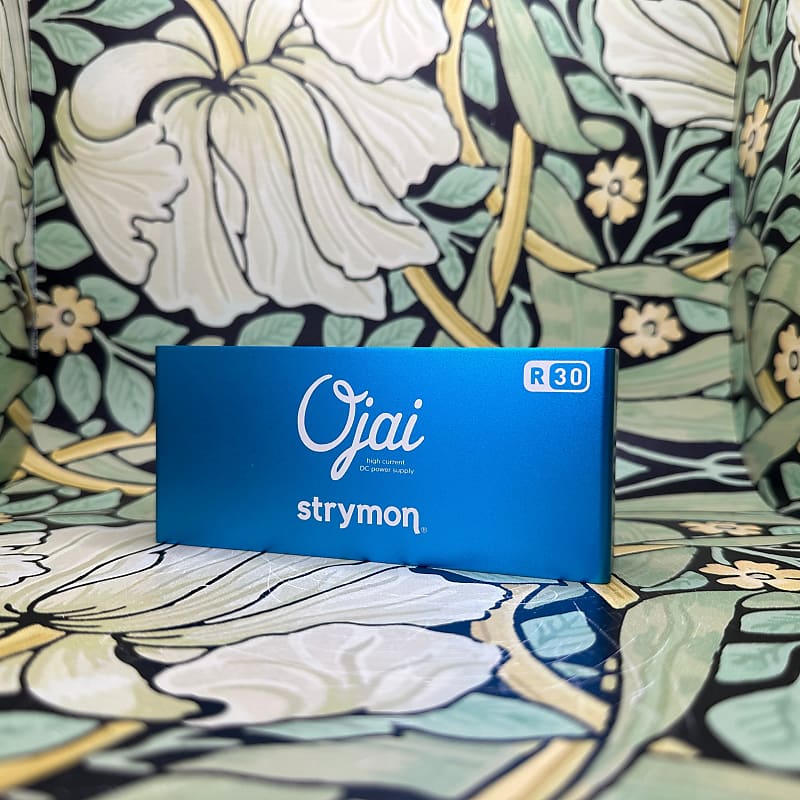 Strymon-Ojai R30 | Reverb Strymon-Ojai R30 | Reverb