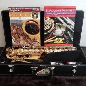 Dixon Super Deluxe WWX520 Alto Saxophone with Hardcore (V.G.+) 