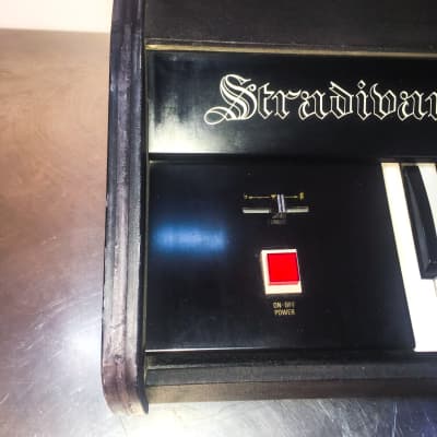EKO Stradivarius Analog String Machine (similar to ARP Solina String Ensemble) image 7