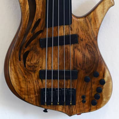 Ken Lawrence C-Brase II Fretless 5 Myrtle - DEMO image 2