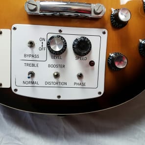 注目 Vintage 70's guitar effects built-in Singlecut Asama The ギター