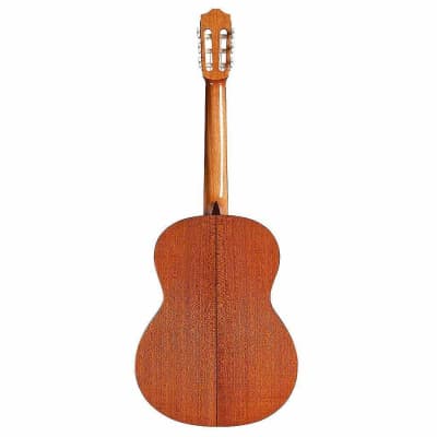 Cordoba C5 SP Acoustic Nylon String Classical Guitar Spruce Top image 5