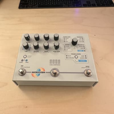 Hologram Electronics Microcosm | Reverb