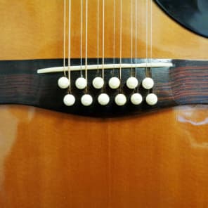 Giannini AWKS-12 12 String Acoustic guitar w/ OHSC image 6