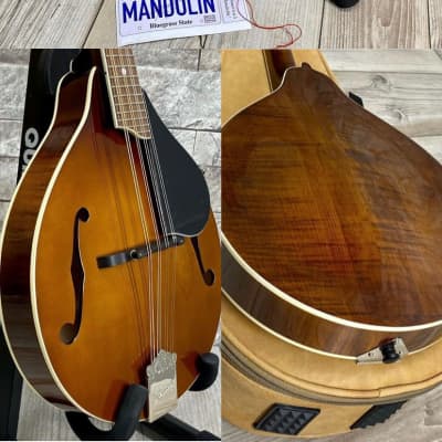 Kentucky KM-256 Deluxe A-Model Mandolin With UPGRADED  ProTour BV-2520 Gig Bag–  Transparent Brown image 2