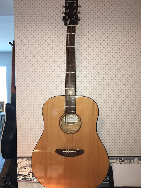 Breedlove passport deals dreadnought