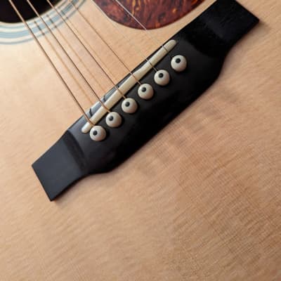 Bourgeois Vintage TouchStone Acoustic Dread, w/setup review, case & shipping image 3