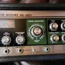 1981 Roland RE201 Space Echo