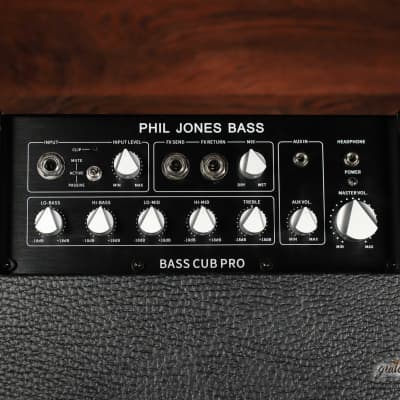 Phil Jones Bass BG-120 Bass Cub Pro 2x5” 120W Combo Amp w/ Carry Bag – Black image 4
