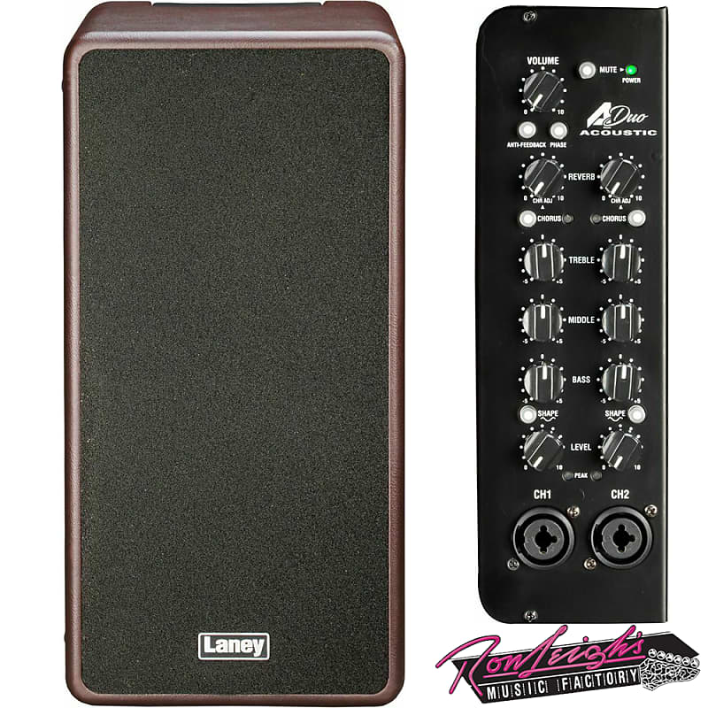 Laney A-Duo A Series Duo 60 Watt Acoustic Guitar Amplifier