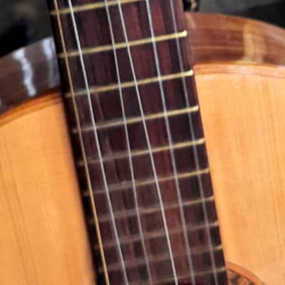 GIANNINI GN-60 CLASSICAL-FOLK 1960’s-NATURAL WOODS, NEEDS TLC AND EXPERT LUTHIER'S HANDS image 4