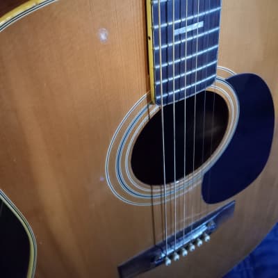 Epiphone Texan FT-150 1970s Natural Acoustic Vintage Norlin Japanese image 5
