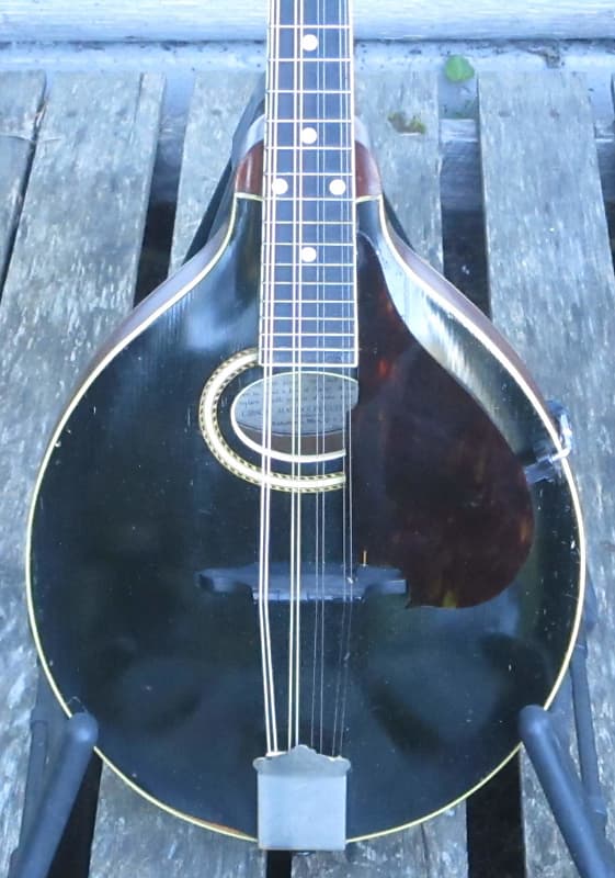 Gibson A4 Mandolin, Black, 1911 image 1