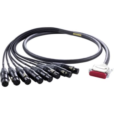 Mogami Gold 8-Channel DB-25 to XLR Female Analog Snake Cable (10’) image 3