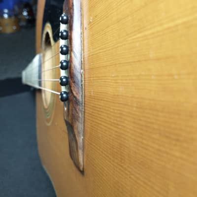 Dorado Model 5990 Acoustic Guitar w/ Wayfinder Gig Bag image 6