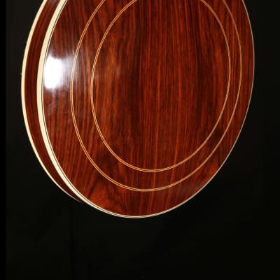 Ome 1974 5-String Banjo model 920 image 20