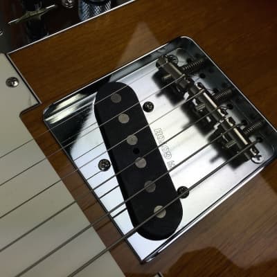 Sago New Material Guitars Classic Style Telecaster 2014