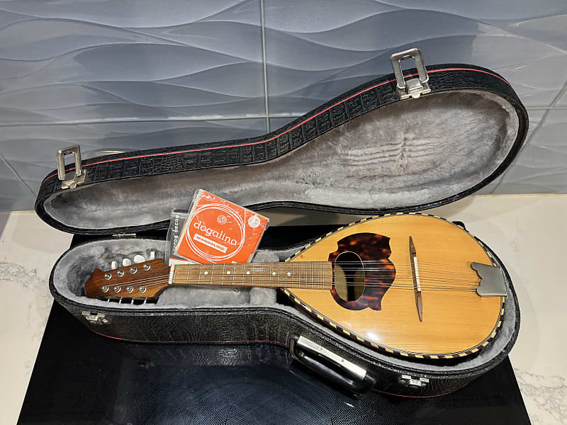 Beautiful Conservatory Bowl Back Mandolin Reverb