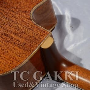 Yokoyama Guitars AR CM image 9