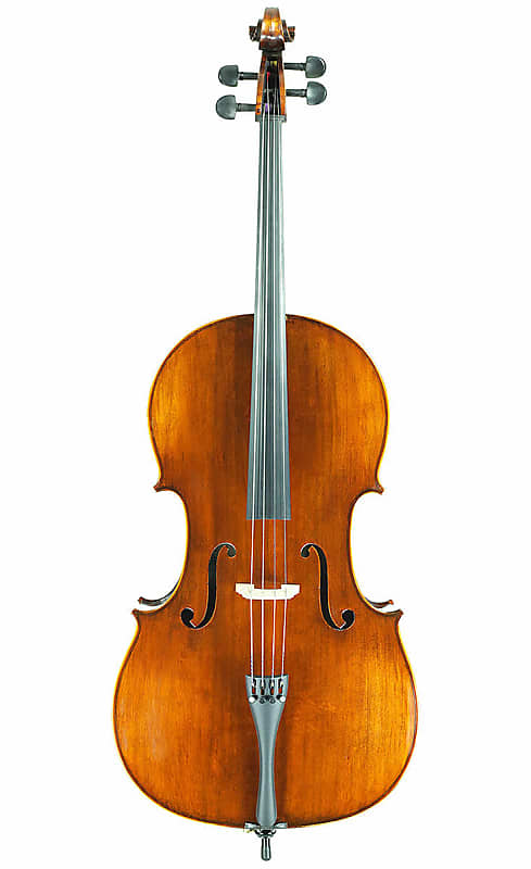 Eastman VC305 Intermediate Cello image 1