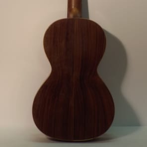 Salvador Ibanez 19th Century Handmade Parlour Classical made in Spain Natural Wood Finish image 8