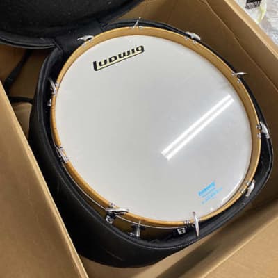 Immagine Ludwig 3ply Maple Thermogloss 24x14 Bass Drum with Blue/Olive badge and Rail Consolette FREE CASE - 12