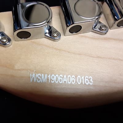 Xaviere  PRO830 Tele Sunburst Alder & Rosewood Humbucker Rails Kwikplug Equipped by Guitars For Vets image 10