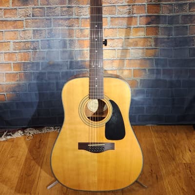 Fender DG-10/12 12-String Acoustic Guitar - Natural for sale