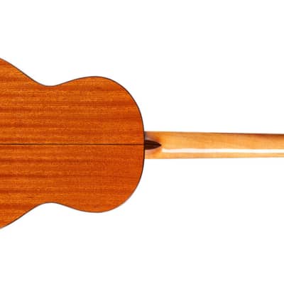 Cordoba Iberia Dolce 7/8 Size Nylon Guitar image 2