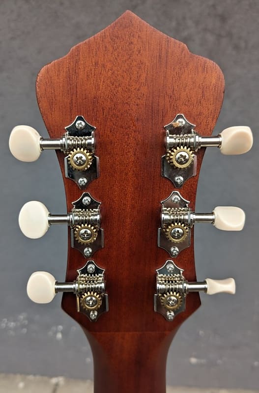 Recording King Solid Wood Parlor Acoustic Electric RPS-11