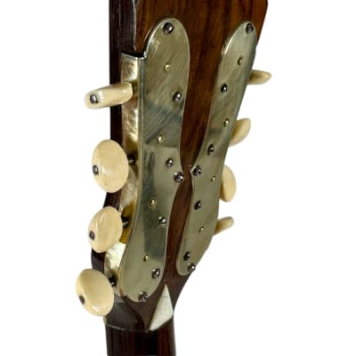 Pasquale Vinaccia Mandolin from 1883 image 15