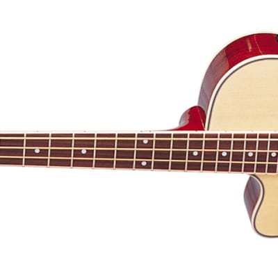 Oscar Schmidt OB100NLH Spruce Top Mahogany Neck 4-String Acoustic-Electric Bass Guitar w/Gig Bag For Left Handed Players image 2