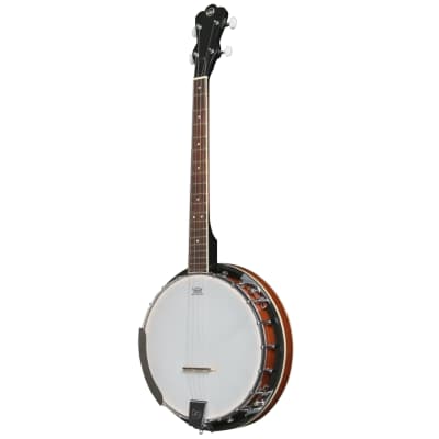 VGS Banjo  Tenor 4-String  incl. Koffer - Banjo for sale