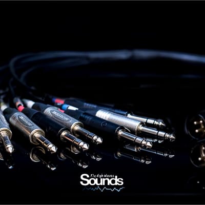 Waves Sounds TRS In 8 CH - XLR Out Summing Cable 2019 Black & Silver image 4