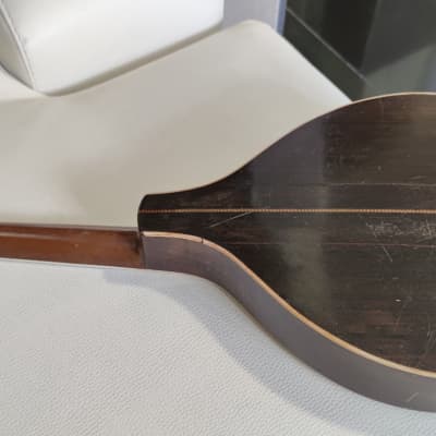 Bruno Klemm. Mandolina. Year 1890 Mandolin. image 3