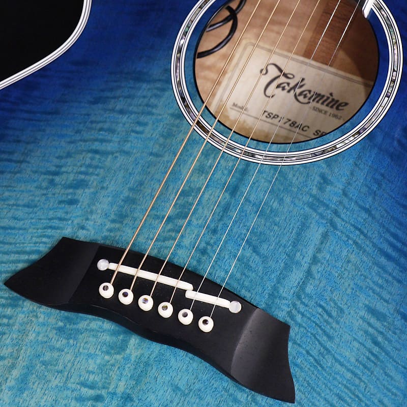 Takamine TSP178AC SBB (S/N:57090666) (11/08) | Reverb
