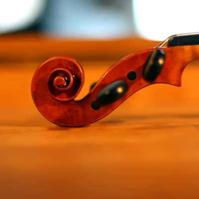 Haddon Brown Violin 4/4 - Sleeping Beauty Stradivari Model image 14