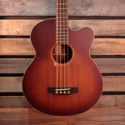Morgan Monroe MVAB500C Acoustic/Electric Bass with Hardshell Case image 1