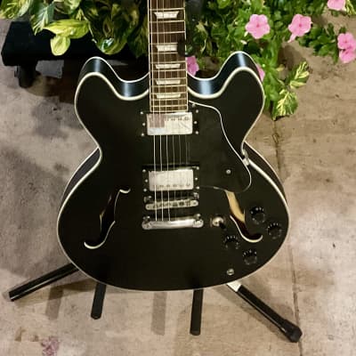 Firefly FF335 Semi-Hollow Guitar-Black image 1