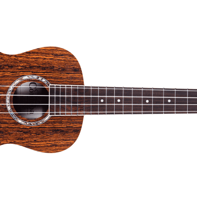 Cordoba 15CB Concert Ukulele - Sale | Reverb Canada