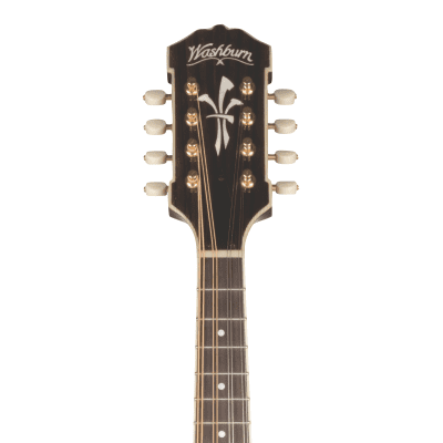 Washburn Timeless A43 A-Style All Solid Mandolin with Hardshell Case *showroom model* image 3