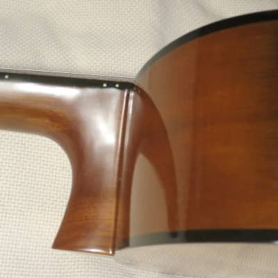 Goya G-120 Classical Guitar image 14