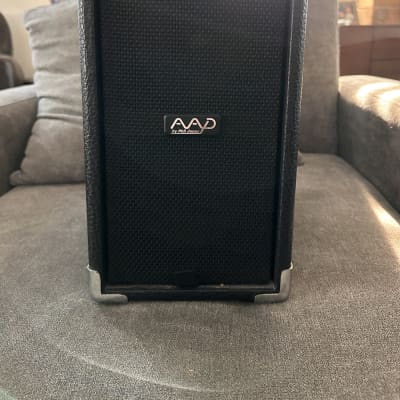 Phil Jones CUB AG-100 Acoustic Guitar Amp 