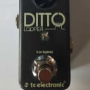 TC Electronic Ditto Looper Pedal *** FREE SHIPPING ***