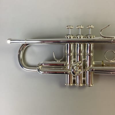 【最安値】 Bach Vincent MODEL SPトランペット Vincent Bach トランペット」の人気商品一覧 | 安い商品を通販