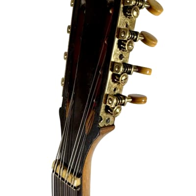Concert Mandola Flat-Back Emanuele Egildo N°240 from 1920 image 16
