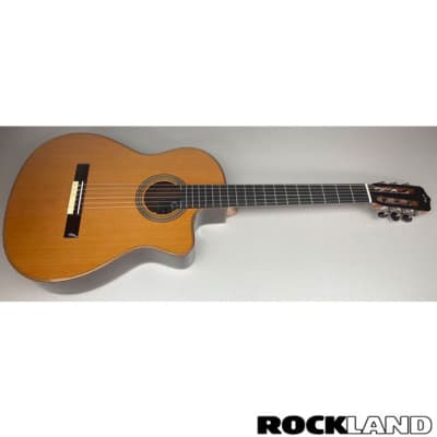 Tokai Cat's Eyes CE-500CF 1981 natural gloss | Reverb