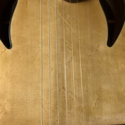Sergei De Jonge Jazz Nylon Classical Brazilian Rosewood Adjustable Neck image 6